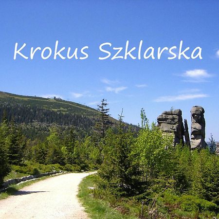 Apartament Krokus Szklarska Шклярська Поремба Екстер'єр фото