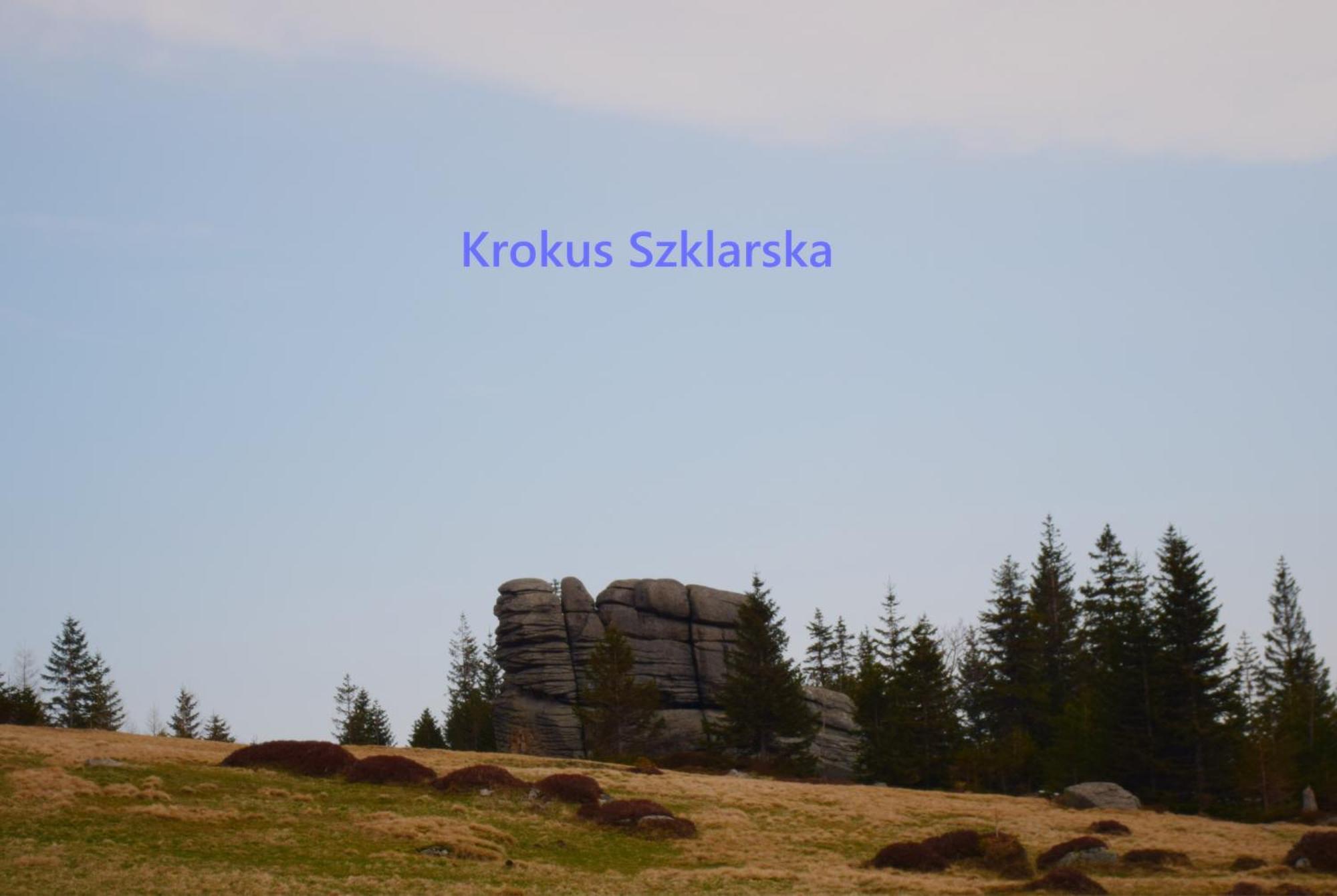 Apartament Krokus Szklarska Шклярська Поремба Екстер'єр фото